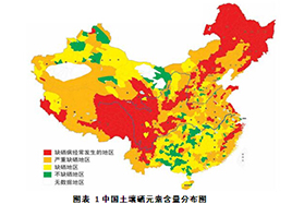 分析缺硒的原因癥狀及補(bǔ)硒的方法