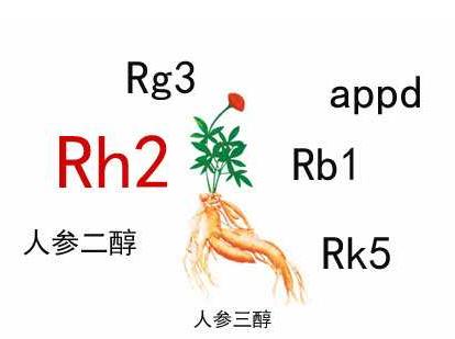 中藥人參皂苷的輔助作用，Rh2和Rg3都不錯